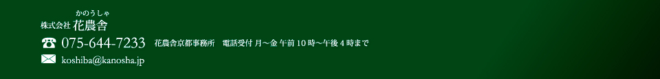 お問い合せ先